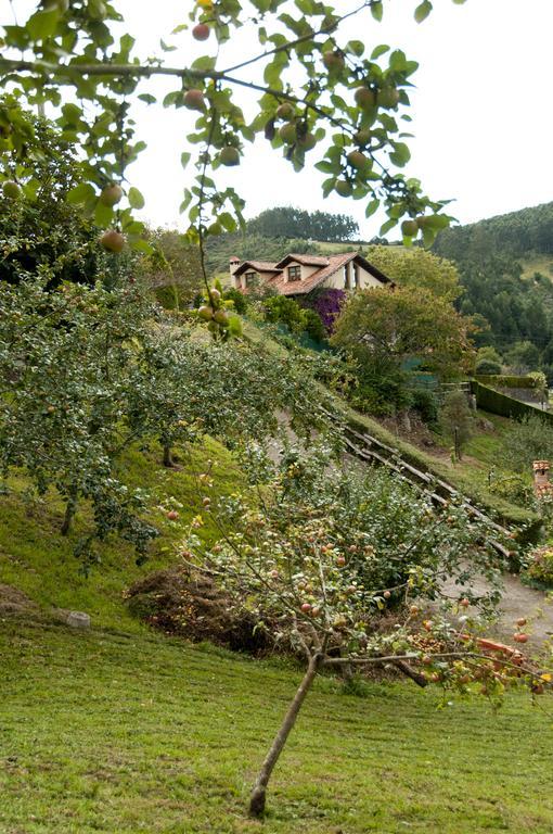 Trisqueles Y Buganvillas ビリャビシオサ エクステリア 写真
